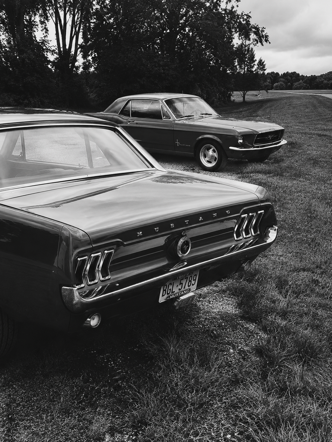 Mustang